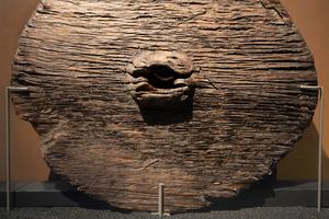 11. The wooden disc wheel from Steenwijk, ca. 2280–2130 BCE