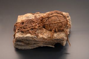 12. Bolletje wol van Roswinkel ca 800-600 v Chr